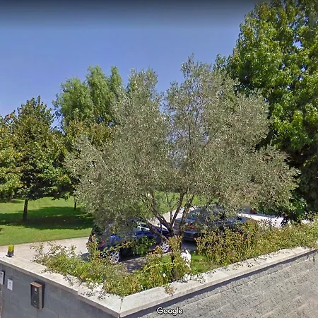 Il Giardino Dei Fiori Pensjonat