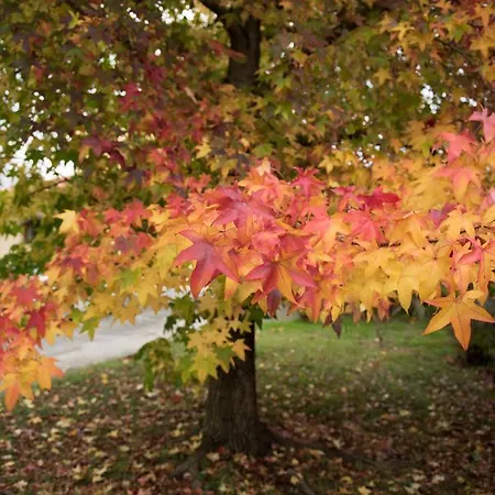 Il Giardino Dei Fiori Guest house San Giuliano Terme