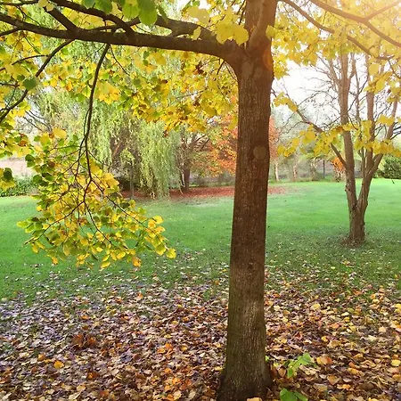 Guest house Il Giardino Dei Fiori