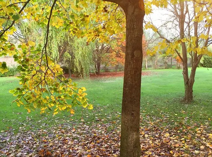 Πανσιόν Il Giardino Dei Fiori